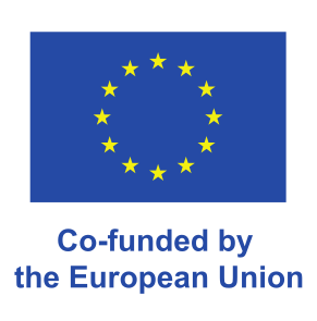 Co-funded by the European union disclaimer
